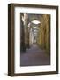 England, North Yorkshire, Ripon. Fountains Abbey ruins.-Emily Wilson-Framed Photographic Print