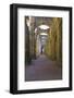 England, North Yorkshire, Ripon. Fountains Abbey ruins.-Emily Wilson-Framed Photographic Print