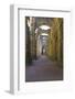 England, North Yorkshire, Ripon. Fountains Abbey ruins.-Emily Wilson-Framed Photographic Print