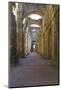 England, North Yorkshire, Ripon. Fountains Abbey ruins.-Emily Wilson-Mounted Photographic Print