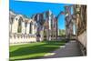 England, North Yorkshire, Ripon. Fountains Abbey ruins.-Emily Wilson-Mounted Photographic Print