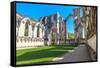 England, North Yorkshire, Ripon. Fountains Abbey ruins.-Emily Wilson-Framed Stretched Canvas