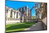 England, North Yorkshire, Ripon. Fountains Abbey ruins.-Emily Wilson-Mounted Photographic Print