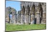 England, North Yorkshire, Whitby. Ruins of Whitby Abbey-Emily Wilson-Mounted Photographic Print