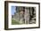 England, North Yorkshire, Whitby. Ruins of Whitby Abbey-Emily Wilson-Framed Photographic Print