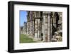 England, North Yorkshire, Whitby. Ruins of Whitby Abbey-Emily Wilson-Framed Photographic Print