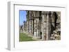 England, North Yorkshire, Whitby. Ruins of Whitby Abbey-Emily Wilson-Framed Photographic Print