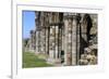 England, North Yorkshire, Whitby. Ruins of Whitby Abbey-Emily Wilson-Framed Premium Photographic Print