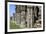 England, North Yorkshire, Whitby. Ruins of Whitby Abbey-Emily Wilson-Framed Premium Photographic Print