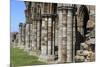 England, North Yorkshire, Whitby. Ruins of Whitby Abbey-Emily Wilson-Mounted Premium Photographic Print