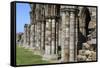 England, North Yorkshire, Whitby. Ruins of Whitby Abbey-Emily Wilson-Framed Stretched Canvas