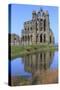 England, North Yorkshire, Whitby. Ruins of Whitby Abbey-Emily Wilson-Stretched Canvas