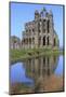 England, North Yorkshire, Whitby. Ruins of Whitby Abbey-Emily Wilson-Mounted Photographic Print