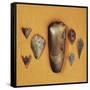 England, North Yorkshire, York, Stone Tools Including Axe, Spear and Arrow Points-null-Framed Stretched Canvas