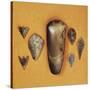 England, North Yorkshire, York, Stone Tools Including Axe, Spear and Arrow Points-null-Stretched Canvas