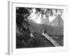 England, Penshurst-null-Framed Photographic Print