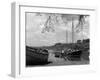 England, River Dart-null-Framed Premium Photographic Print