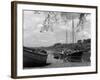 England, River Dart-null-Framed Photographic Print