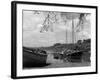 England, River Dart-null-Framed Photographic Print