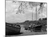 England, River Dart-null-Mounted Photographic Print