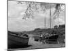 England, River Dart-null-Mounted Photographic Print