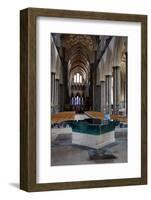 England, Salisbury, Salisbury Cathedral, Interior, Font and Nave-Samuel Magal-Framed Photographic Print