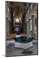 England, Salisbury, Salisbury Cathedral, Interior, Font and Nave-Samuel Magal-Mounted Photographic Print