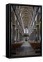 England, Salisbury, Salisbury Cathedral, Interior, Nave, Looking West-Samuel Magal-Framed Stretched Canvas