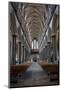 England, Salisbury, Salisbury Cathedral, Interior, Nave, Looking West-Samuel Magal-Mounted Photographic Print