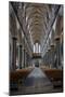 England, Salisbury, Salisbury Cathedral, Interior, Nave, Looking West-Samuel Magal-Mounted Photographic Print