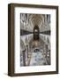 England, Salisbury, Salisbury Cathedral, Nave, View from the Gallery to The East-Samuel Magal-Framed Photographic Print