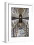 England, Salisbury, Salisbury Cathedral, Nave, View from the Gallery to The East-Samuel Magal-Framed Photographic Print