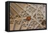 England, Somerset, Bath, Bath Abbey, Fan-Vaulted Ceiling, Coat of Arms-Samuel Magal-Framed Stretched Canvas