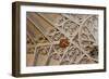 England, Somerset, Bath, Bath Abbey, Fan-Vaulted Ceiling, Coat of Arms-Samuel Magal-Framed Photographic Print