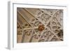 England, Somerset, Bath, Bath Abbey, Fan-Vaulted Ceiling, Coat of Arms-Samuel Magal-Framed Photographic Print