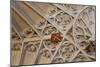 England, Somerset, Bath, Bath Abbey, Fan-Vaulted Ceiling, Coat of Arms-Samuel Magal-Mounted Photographic Print