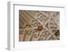 England, Somerset, Bath, Bath Abbey, Fan-Vaulted Ceiling, Coat of Arms-Samuel Magal-Framed Photographic Print