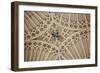 England, Somerset, Bath, Bath Abbey, Fan-Vaulted Ceiling, Coat of Arms-Samuel Magal-Framed Photographic Print