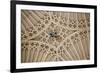 England, Somerset, Bath, Bath Abbey, Fan-Vaulted Ceiling, Coat of Arms-Samuel Magal-Framed Photographic Print