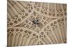 England, Somerset, Bath, Bath Abbey, Fan-Vaulted Ceiling, Coat of Arms-Samuel Magal-Mounted Photographic Print