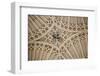 England, Somerset, Bath, Bath Abbey, Fan-Vaulted Ceiling, Coat of Arms-Samuel Magal-Framed Photographic Print