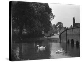 England, St. Albans-null-Stretched Canvas