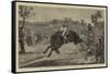 England V Australia, the Buckjumper Collared-null-Framed Stretched Canvas