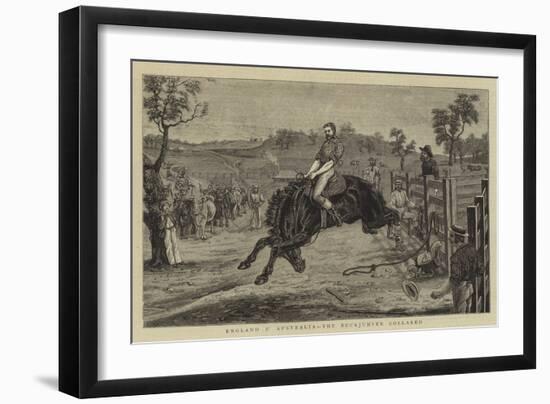England V Australia, the Buckjumper Collared-null-Framed Giclee Print
