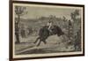 England V Australia, the Buckjumper Collared-null-Framed Giclee Print