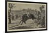 England V Australia, the Buckjumper Collared-null-Framed Giclee Print