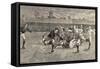 England V. Scotland Rugby Match, Richmond, 1891-English School-Framed Stretched Canvas