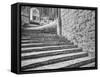 England, Wells Cathedral Chapter House Stairs-John Ford-Framed Stretched Canvas