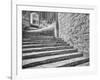 England, Wells Cathedral Chapter House Stairs-John Ford-Framed Photographic Print