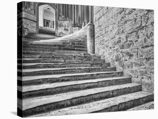 England, Wells Cathedral Chapter House Stairs-John Ford-Stretched Canvas